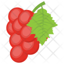 پیش‌نمایش فایل grapes-211 از پک مواد اولیه غذا