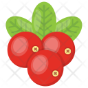پیش‌نمایش فایل red-berries-1 از پک مواد اولیه غذا