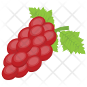 پیش‌نمایش فایل red-grapes از پک مواد اولیه غذا