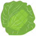 پیش‌نمایش فایل cabbage-64 از پک مواد اولیه غذا
