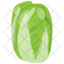 پیش‌نمایش فایل cabbage-65 از پک مواد اولیه غذا