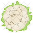 پیش‌نمایش فایل cauliflower-57 از پک مواد اولیه غذا