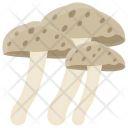 پیش‌نمایش فایل mushrooms-34 از پک مواد اولیه غذا