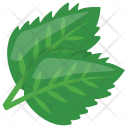 پیش‌نمایش فایل parsley-10 از پک مواد اولیه غذا