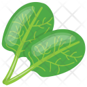پیش‌نمایش فایل spinach-leaves-3 از پک مواد اولیه غذا