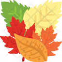 پیش‌نمایش فایل autumn-leaves-1 از پک روز شکرگزاری