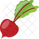 پیش‌نمایش فایل beetroot-15 از پک روز شکرگزاری