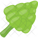 پیش‌نمایش فایل broccoli-107 از پک روز شکرگزاری