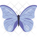 پیش‌نمایش فایل butterfly-489 از پک روز شکرگزاری