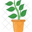 پیش‌نمایش فایل plant-608 از پک روز شکرگزاری