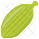 پیش‌نمایش فایل endive از پک مواد اولیه غذا