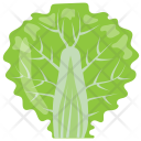 پیش‌نمایش فایل lettuce-leaf از پک مواد اولیه غذا