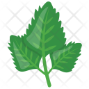 پیش‌نمایش فایل mint-2 از پک مواد اولیه غذا