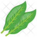 پیش‌نمایش فایل sorrel-leaves از پک مواد اولیه غذا