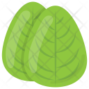 پیش‌نمایش فایل spinach-leaves-4 از پک مواد اولیه غذا
