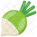 پیش‌نمایش فایل turnip-74 از پک مواد اولیه غذا