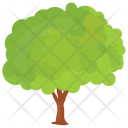 پیش‌نمایش فایل apple-tree-5 از پک درختان