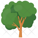پیش‌نمایش فایل ash-tree-1 از پک درختان