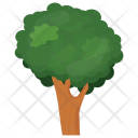 پیش‌نمایش فایل ash-tree از پک درختان