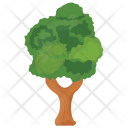پیش‌نمایش فایل basswood-tree-1 از پک درختان