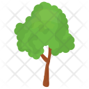 پیش‌نمایش فایل basswood-tree-2 از پک درختان