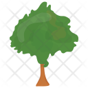 پیش‌نمایش فایل beech-tree از پک درختان