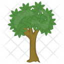 پیش‌نمایش فایل bitter-nut-hickory از پک درختان