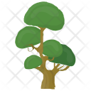 پیش‌نمایش فایل bonsai-tree-5 از پک درختان