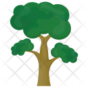 پیش‌نمایش فایل eucalyptus-tree از پک درختان
