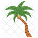 پیش‌نمایش فایل florida-thatch-palm از پک درختان