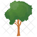 پیش‌نمایش فایل honey-locust از پک درختان