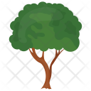 پیش‌نمایش فایل oak-tree-12 از پک درختان