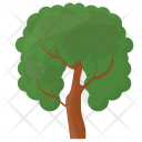 پیش‌نمایش فایل oak-tree-14 از پک درختان