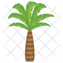 پیش‌نمایش فایل palm-tree-79 از پک درختان