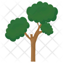 پیش‌نمایش فایل pinus-bonsai از پک درختان