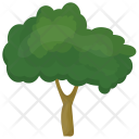 پیش‌نمایش فایل sawtooth-oak-1 از پک درختان
