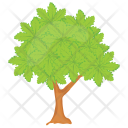 پیش‌نمایش فایل sugar-maple-2 از پک درختان
