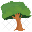 پیش‌نمایش فایل sugarberry-tree-1 از پک درختان