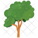 پیش‌نمایش فایل sugarberry-tree-2 از پک درختان