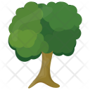 پیش‌نمایش فایل sycamore-tree-1 از پک درختان