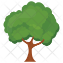 پیش‌نمایش فایل sycamore-tree-2 از پک درختان