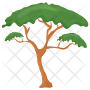 پیش‌نمایش فایل umbrella-pine-tree از پک درختان