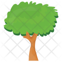 پیش‌نمایش فایل walnut-tree-1 از پک درختان