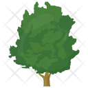 پیش‌نمایش فایل walnut-tree از پک درختان