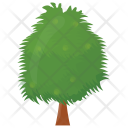 پیش‌نمایش فایل weeping-willow-tree از پک درختان