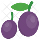 پیش‌نمایش فایل plum-38 از پک غذا و هدایا