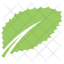 پیش‌نمایش فایل ash-leaf از پک برگ‌ها