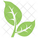 پیش‌نمایش فایل bipartite-leaf-1 از پک برگ‌ها