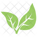 پیش‌نمایش فایل bipartite-leaf از پک برگ‌ها