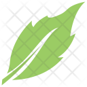 پیش‌نمایش فایل birch-leaf-7 از پک برگ‌ها